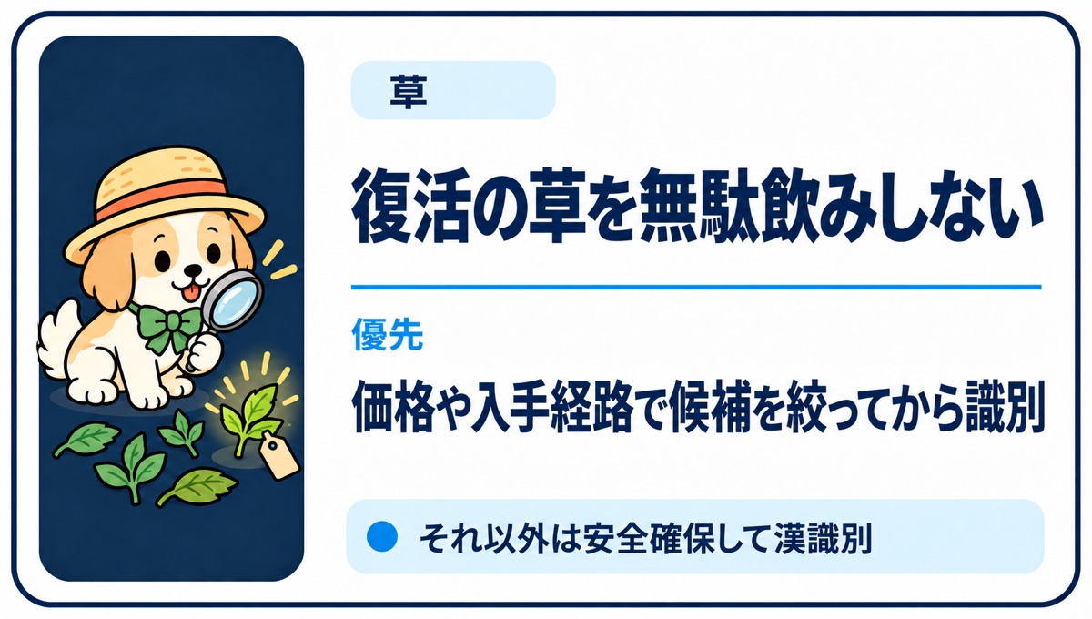 復活の草を無駄飲みしないため価格や入手経路で絞る方法